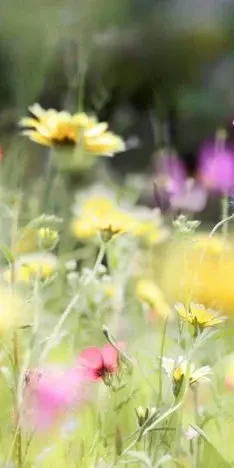 1-53248058556683-64458267132171.jpeg
