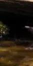 2-53267760808203-64457899802891.jpeg