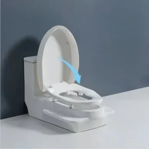 Dual Design Squat-toto-Sit Convertible Toilet - Image 0