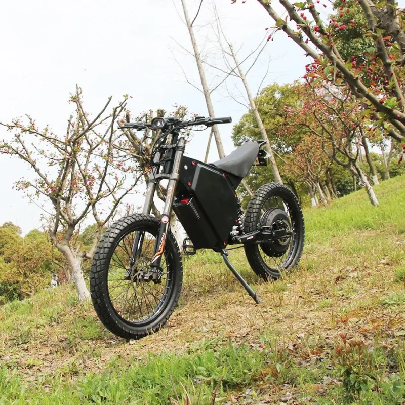 Powerful Mountain Beast Off-Road Adventure Electric Bike - Image 0