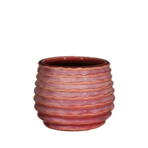 Pot Pink Carmine Rise Ø8,5 x h: 11,5 cm (9 Pcs)