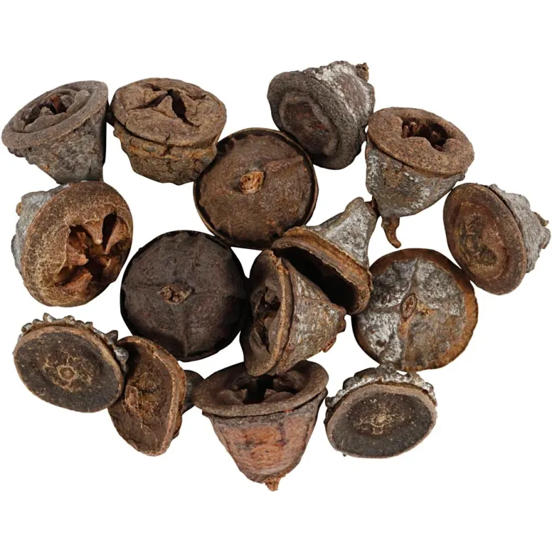 Eucalyptus cones, 25 g