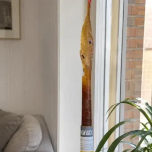 Insektentape - Packung mit 8 Stk.