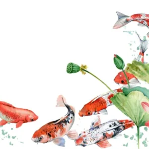 Küchenrückwand-Aquarell Koi Karpfen und Lotusblume