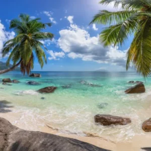 Küchenrückwand-Blick auf den schönen tropischen Strand