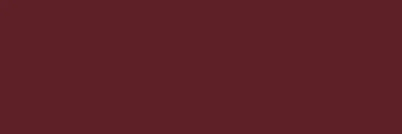 Küchenrückwand-RAL 3005 (Weinrot)
