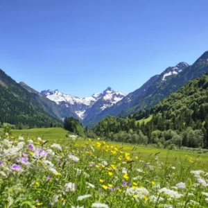 Spritzschutz-Bunte Wiese in den Alpen