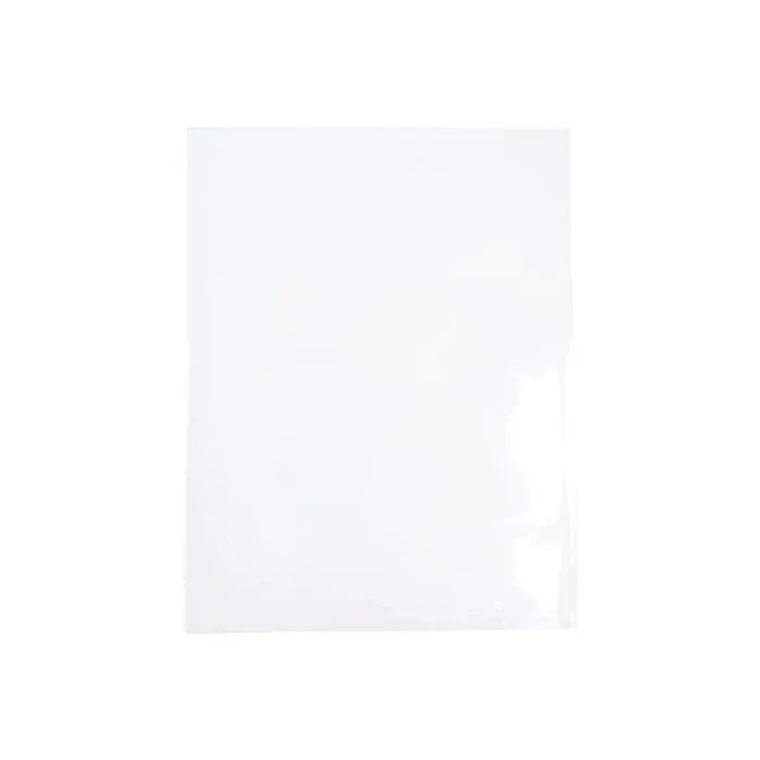 Plastic Bags 24x31cm Transparent