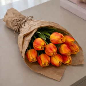 Tulpen 10 Stück – Mehrere Farben