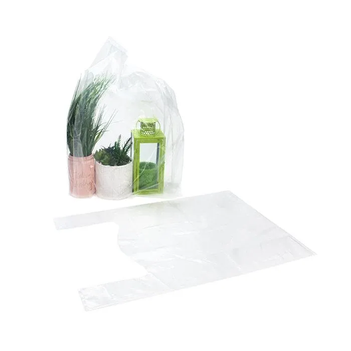 Plastic Carrier Bags Transparent 50.8x25.4x76.2cm