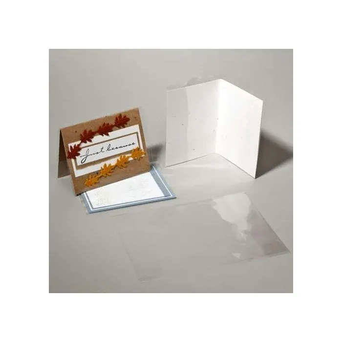 Plastic Bags for Open Cards 14.3x28.1cm