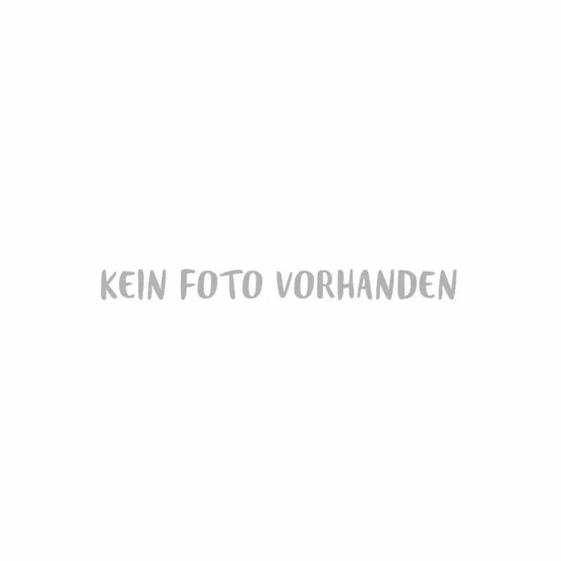 119115 Motorkohlebürstenschutz, SPRiNTUS