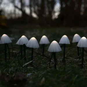 Lyskæde MUSHROOM med solceller - VIAMAJA.DK