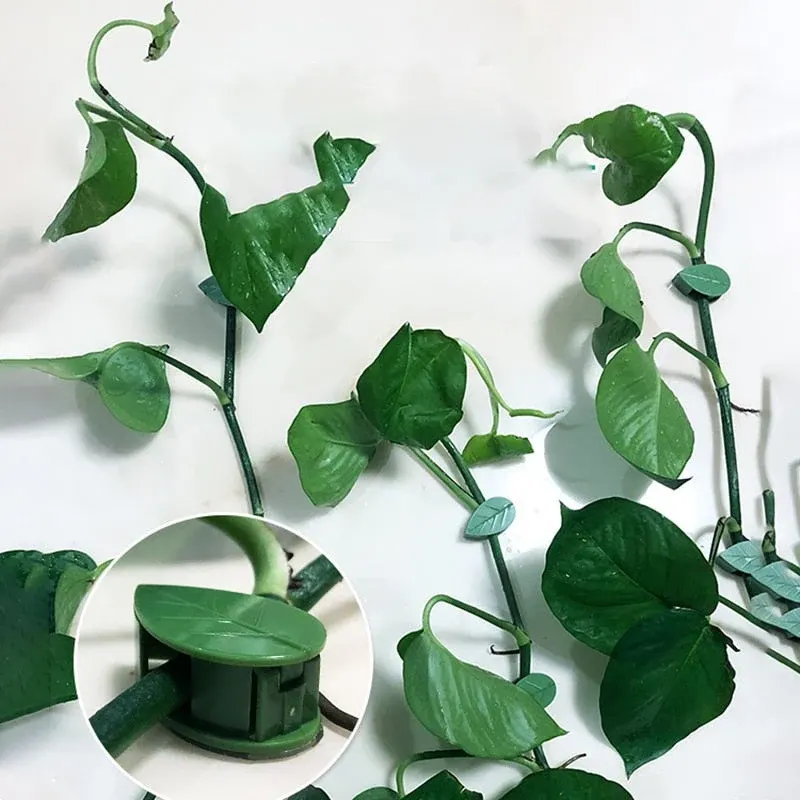 10pcs Leaf Shape Self-Adhesive Hook - Image 0